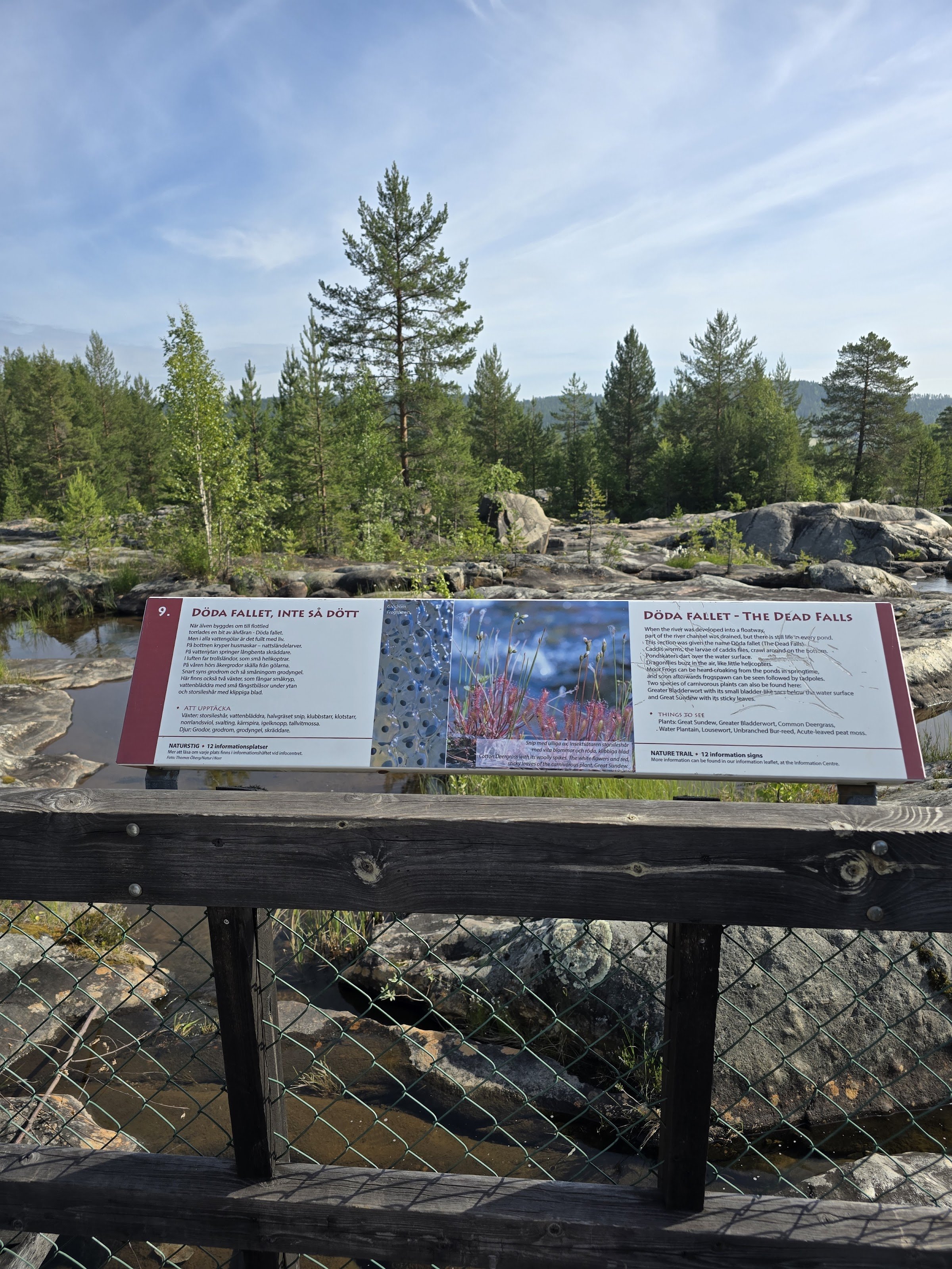 Utsiktsplats Storforsens Naturreservat (Storforsen viewpoint)